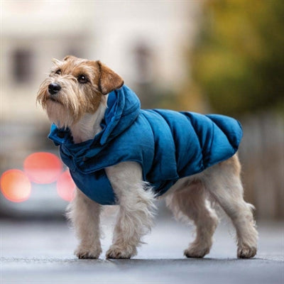 Croci Manteau pour chien doublé velours bleu