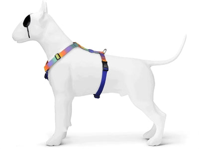 Morso harnais pour chien h-harnais recyclé fleur de printemps