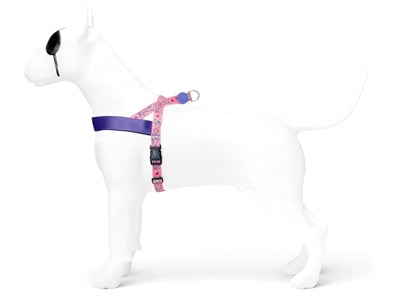 Harnais pour chien norvégien Morso recyclé sweet tweet rose