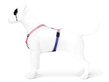 Morso harnais pour chien h-harnais recyclé sweet tweet rose