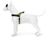 Morso harnais pour chien norvégien recyclé full metal chien marron