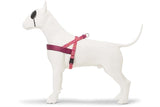 Harnais pour chien norvégien Morso recyclé rose think pink