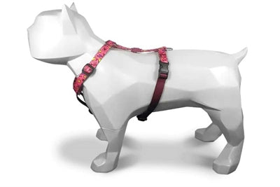 Harnais pour chien Morso harnais en H recyclé rose think pink