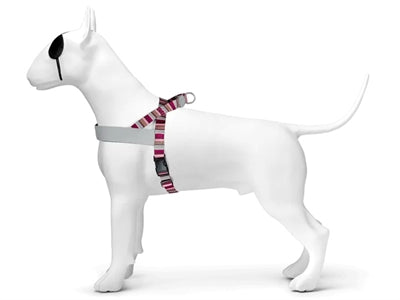 Harnais pour chien norvégien Morso recyclé skyline rouge rose