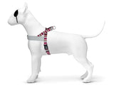 Harnais pour chien norvégien Morso recyclé skyline rouge rose