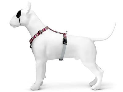 Morso harnais pour chien h-harnais recyclé skyline rouge rose