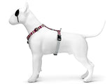 Morso harnais pour chien h-harnais recyclé skyline rouge rose