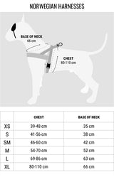 Harnais pour chien norvégien Morso lézard urbain recyclé rouge