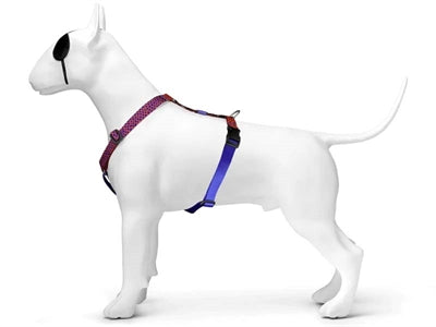 Morso harnais pour chien h-harnais recyclé lézard urbain rouge