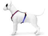 Morso harnais pour chien h-harnais recyclé lézard urbain rouge