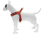 Morso mini harnais pour chien réglable lézard urbain recyclé rouge