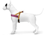 Harnais pour chien norvégien Morso tambour de jungle recyclé orange