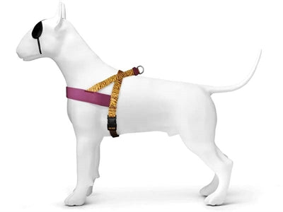 Harnais pour chien norvégien Morso tambour de jungle recyclé orange