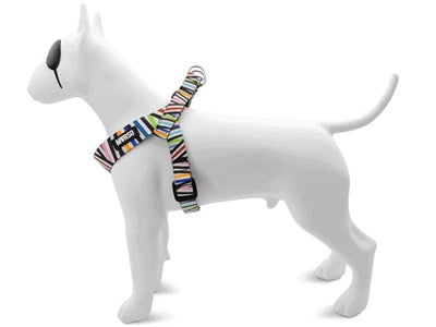 Morso mini harnais pour chien réglable incident de spaghetti recyclé