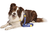 Laisse pour chien Morso recyclé couleur envahisseurs violet