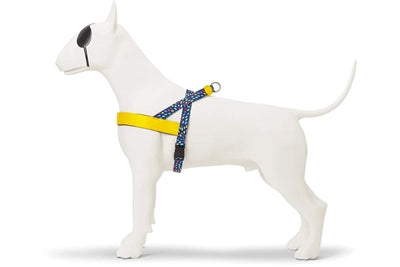 Harnais pour chien norvégien Morso recyclé couleur envahisseurs violet