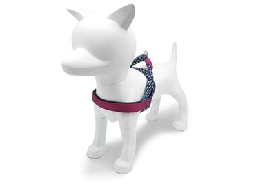 Morso harnais pour chien norvégien recyclé power flow noir