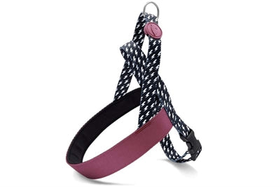Morso harnais pour chien norvégien recyclé power flow noir