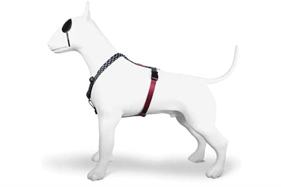 Morso harnais pour chien h-harnais recyclé power flow noir