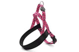 Harnais pour chien norvégien Morso bulle recyclée leo rose