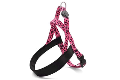 Harnais pour chien norvégien Morso bulle recyclée leo rose