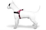 Harnais pour chien norvégien Morso bulle recyclée leo rose
