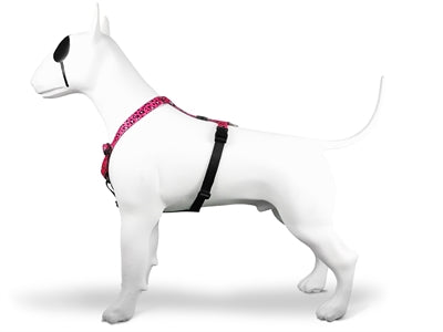 Morso harnais pour chien h-harnais recyclé bulle leo rose