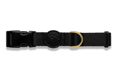 Collier pour chien Morso or recyclé caviar gold