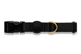 Collier pour chien Morso or recyclé caviar gold