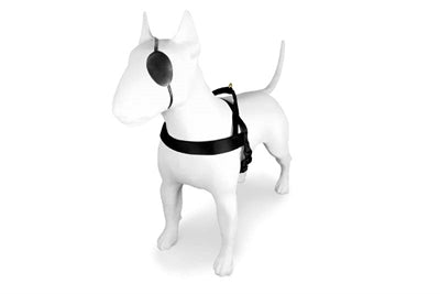 Harnais pour chien norvégien Morso or recyclé caviar gold