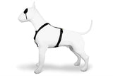 Morso harnais pour chien h-harnais recyclé or caviar or