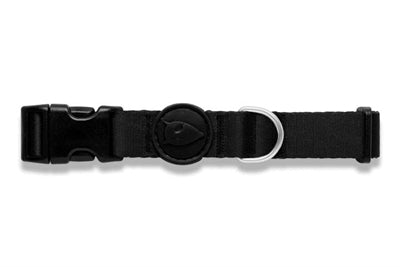 Collier pour chien Morso pureté recyclée noir
