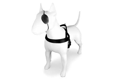 Morso harnais pour chien norvégien recyclé pureté noir