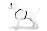 Morso harnais pour chien h-harnais recyclé pureté noir