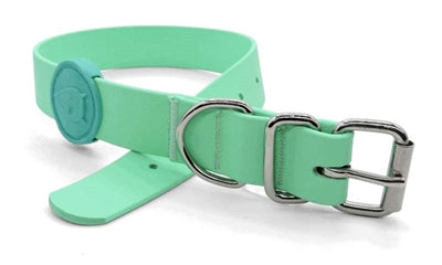 Collier pour chien Morso imperméable recyclé vert caraïbe