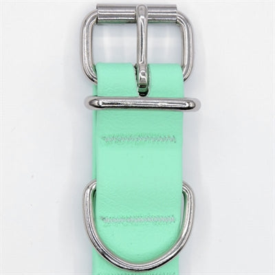 Collier pour chien Morso imperméable recyclé vert caraïbe