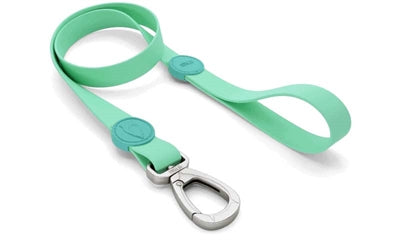 Laisse pour chien Morso imperméable recyclé vert caraïbe vert
