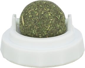 Boule d'herbe à chat Trixie avec support autocollant