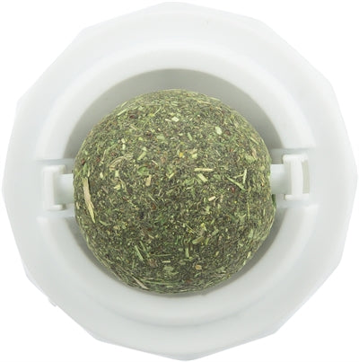 Boule d'herbe à chat Trixie avec support autocollant