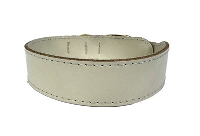 Sazzz Collar Hond Pioneer Liedercreme