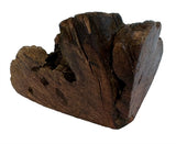 Chog Woodzzz mâcher la racine avec de l'huile d'olive