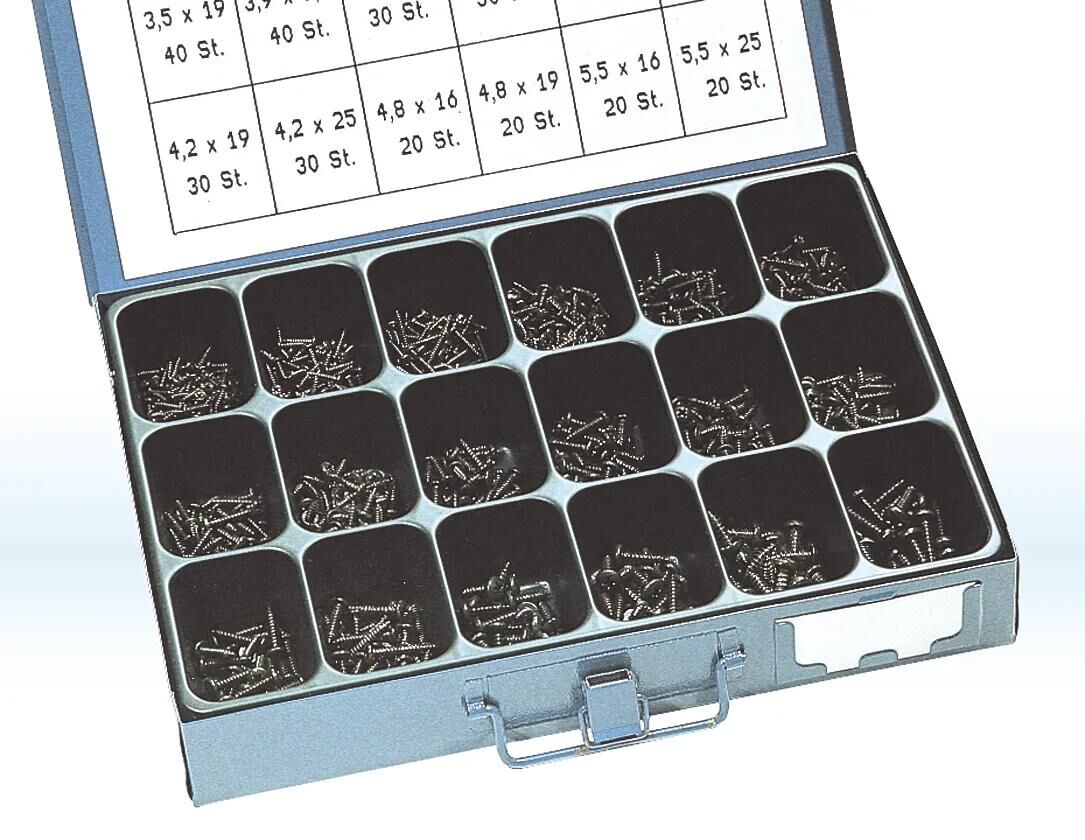 Assortiment de vis à tôle Dresselhaus sort.blechschtauben DIN 7981 galvanisé