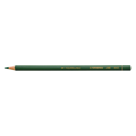 Crayon tout verre Stabilo - crayon de couleur et graphite - vert