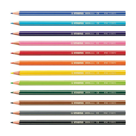 Abi stlo greencolors crayons de couleur arty étui de 12 pièces