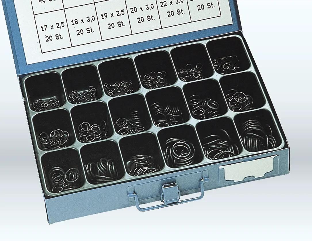 Assortiment de bagues d'étanchéité Dresselhaus, joints toriques assortis 700 pcs. m3 à m24 perbunan