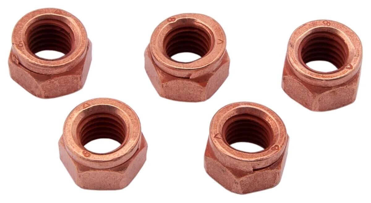 Dresselhaus écrou à fente écrous à fente thermag 6 points m8x12 5 pcs.