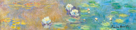 Musique Brillygv2 : nymphéas de Monet. (la