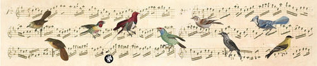 Musique de Rondo77 : notes (ave maria).