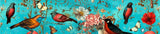 Musique de Volare rondo127 : .