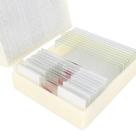 Konus set de préparation bactéries, organismes simples (10 pièces)